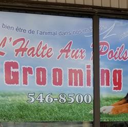 L'halte Aux Poils