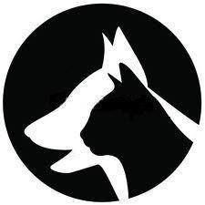 Companion Animal Hospital Richmond
