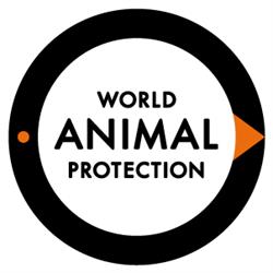 World Animal Protection Canada