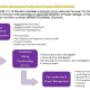 QA Process Quality Assurance QA Process Quality Assurance