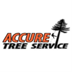 Accure Tree Service