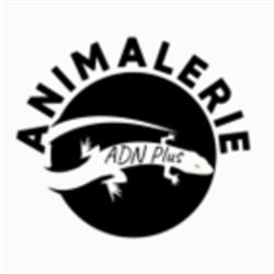 Animalerie ADN Plus