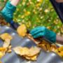 Gutter Cleaning Gutter Cleaning