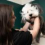 Same-day appointments, 24/7 virtual care, and all the ear scritches your pups and cats can handle. Juno Veterinary is exceptional vet care for your pets, because they—and you—deserve it. Same-day appointments, 24/7 virtual care, and all the ear scritches your pups and cats can handle. Juno Veterinary is exceptional vet care for your pets, because they—and you—deserve it.