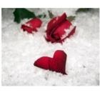 Treasures Of My Heart