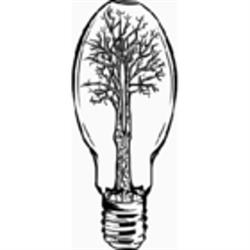 Cottonwood Electric