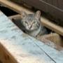 At times even our little friends need help At times even our little friends need help