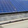 Pigeon exclusion for solar panels Pigeon exclusion for solar panels