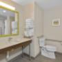 Guest room bath Guest room bath