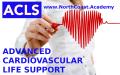 ACLS Provider Course