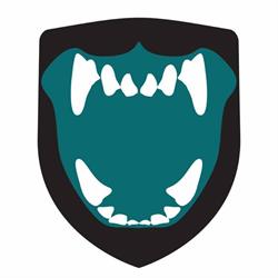 K9 Storm Inc.