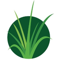 Rico's Lawn Care