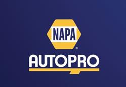 Fl Auto Technique