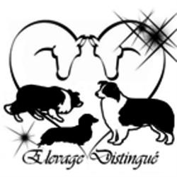 Élevage Distingué