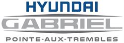 Hyundai Gabriel P.A.T