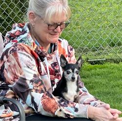 Hometown Kennels & Grooming