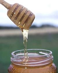 Alberta Premium Honey