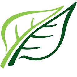 Simmons Counselling Service