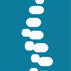 Chiropractors' Association Of Saskatchewan