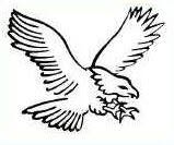 Le Club De Motoneige Les Aigles Blancs De Paspebiac