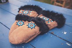 Indigenous Family Centre Inc