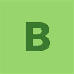 Brillo-Net