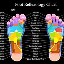 Foot Reflexology By Fk