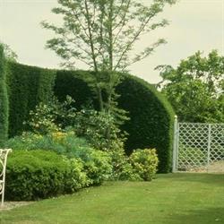 Yvan Beaulieu Hedges & Gardens