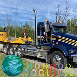 Goldie Mohr Limited