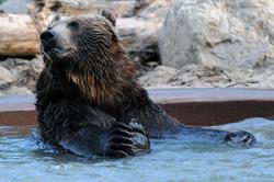 Saskatoon Zoo Foundation