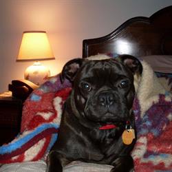 Max's Meanderings