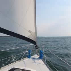 Kingston Sailing Charters