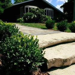 Country Side Landscaping