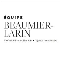 Profusion Immobilier R B