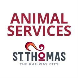 Animal Services