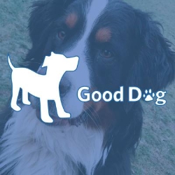Good Dog Rocky Point