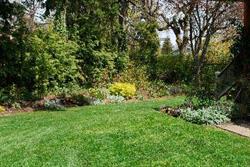 Brentwood Grounds Maintenance
