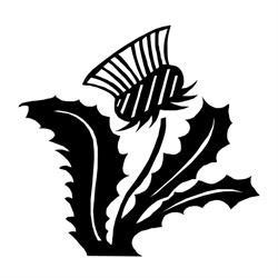 Highlander Counselling & Mediation