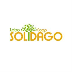 Labo Solidago