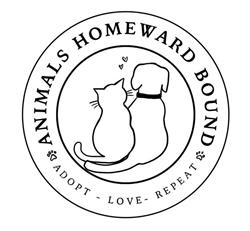Animals homeward bound