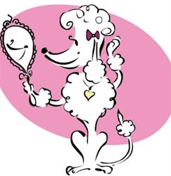 Toilettage Beaute Canin Mercier
