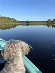 Riverview Kayaking and Wellness
