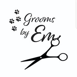 Grooms by Em with Anesthesia-free K9 teeth cleaning and polishing