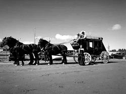 Double T Percherons