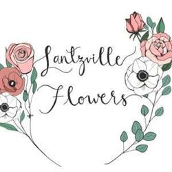 Lantzville Flowers