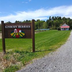 Kinburn Berries