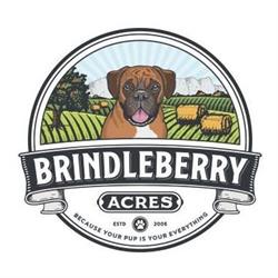 BrindleBerry Acres