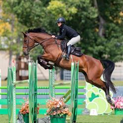Bow Canyon Equestrian