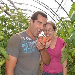 Tomaterie et compagnie