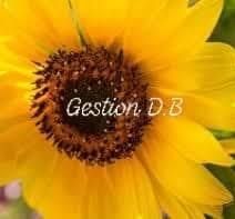 Gestion DB